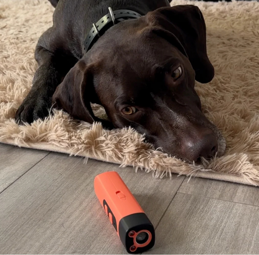Het apparaat op de vloer van de woonkamer, met een bruine labrador die er rustig naast ligt