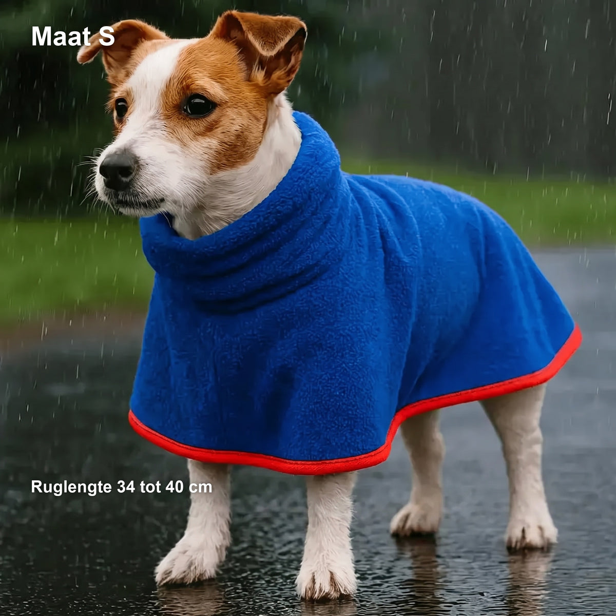 Jack russell in de blauwe jas in de regen, met in beeld: Maat S, ruglengte 34 tot 40 cm