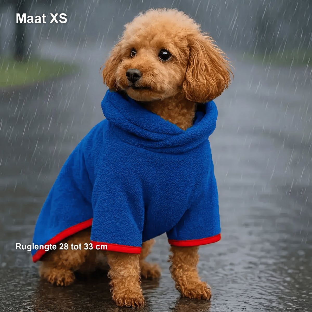 Toypoedel in de blauwe jas in de regen, met in beeld: Maat XS, ruglengte 28 tot 33 cm