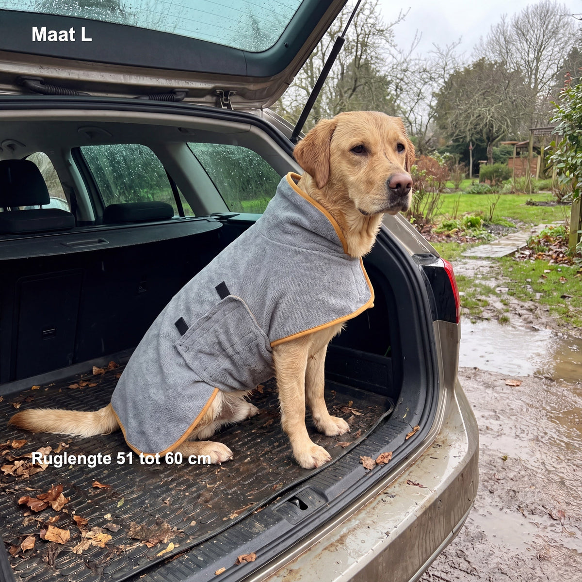 Labrador in de grijze jas met okergele bies in de kofferbak, met in beeld: Maat L, ruglengte 51 tot 60 cm