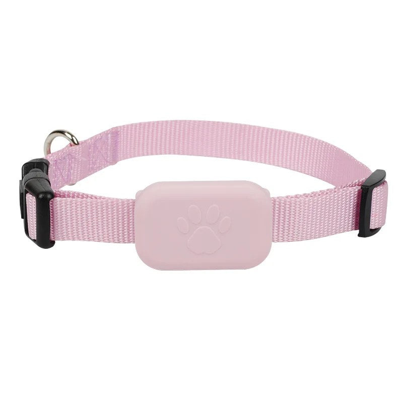 De roze halsband met de tracker en het pootje erop, op een witte achtergrond.