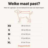 Beeld 17
