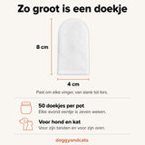 Beeld 10