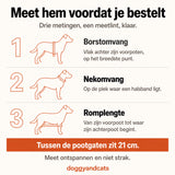 Beeld 10