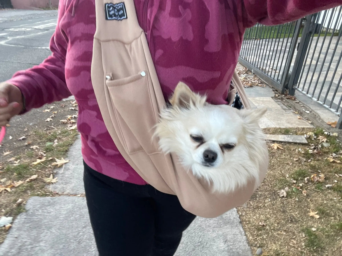 Vrouw loopt op de stoep tussen herfstblad met een langharige chihuahua in de beige schoudertas