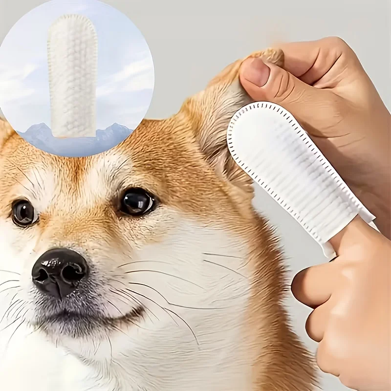 Een doekje om de vinger gaat langs de oorschelp van een shiba
