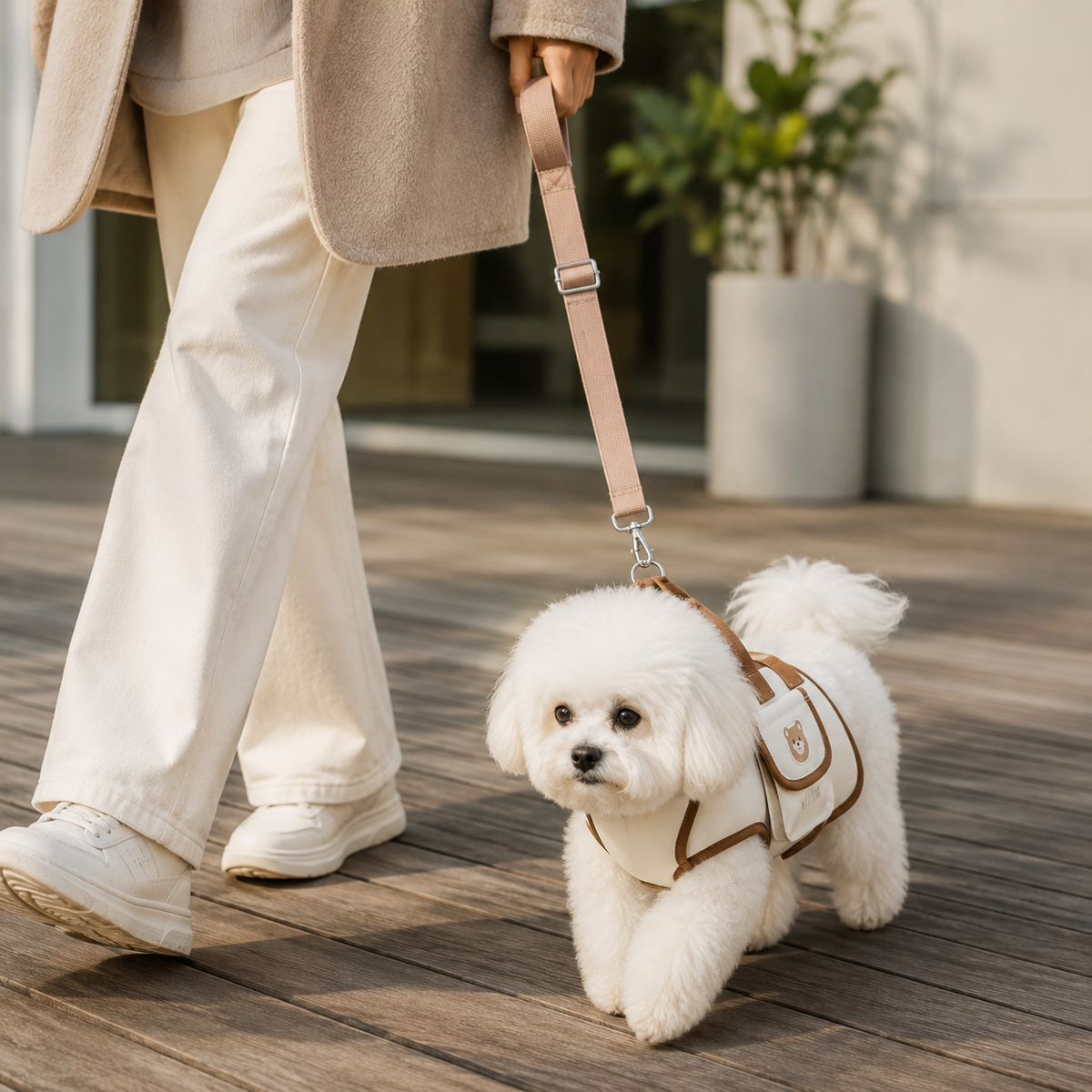 Hondje loopt zelf verder terwijl het tuiggedeelte al om zit