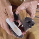 Video 6