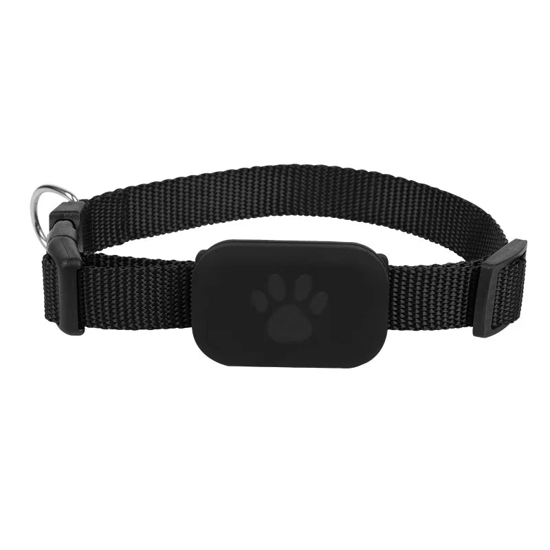 Zwarte halsband met een zwarte tracker met pootafdruk