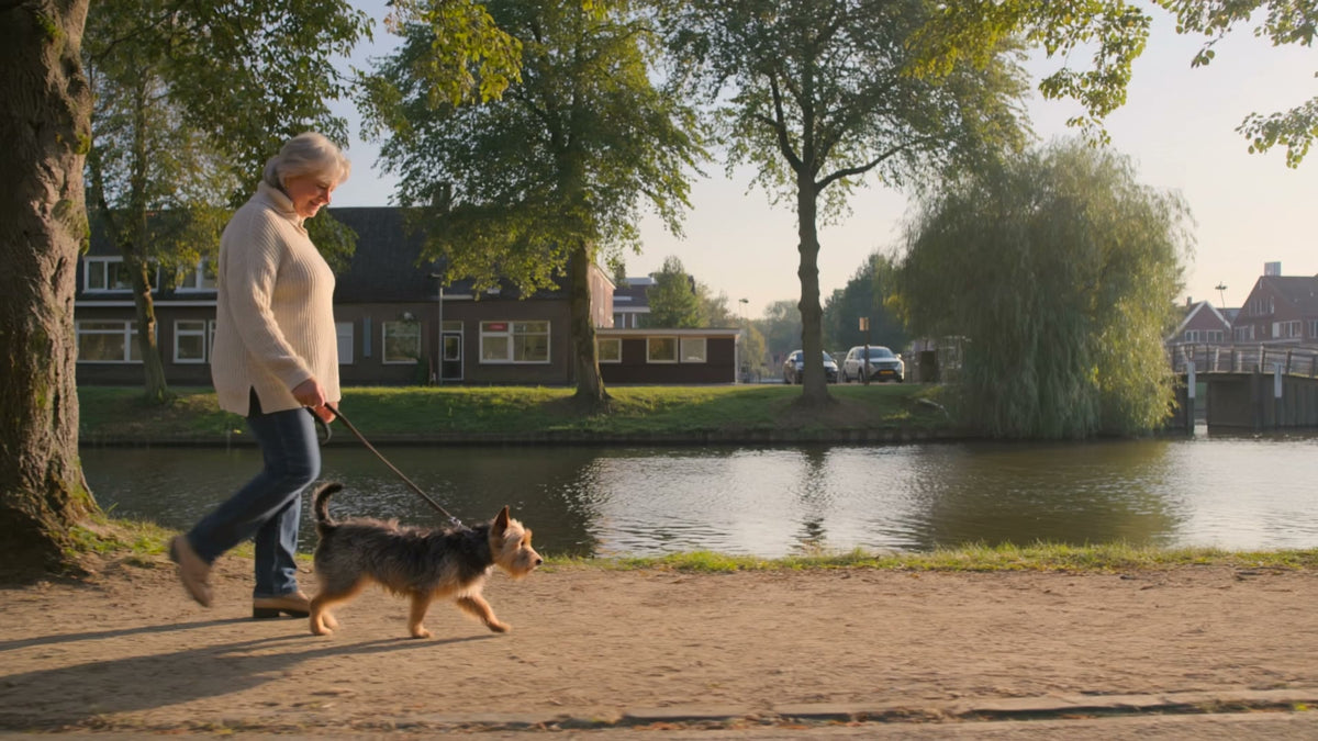 Een vrouw en haar hond wandelen langs een Nederlandse gracht