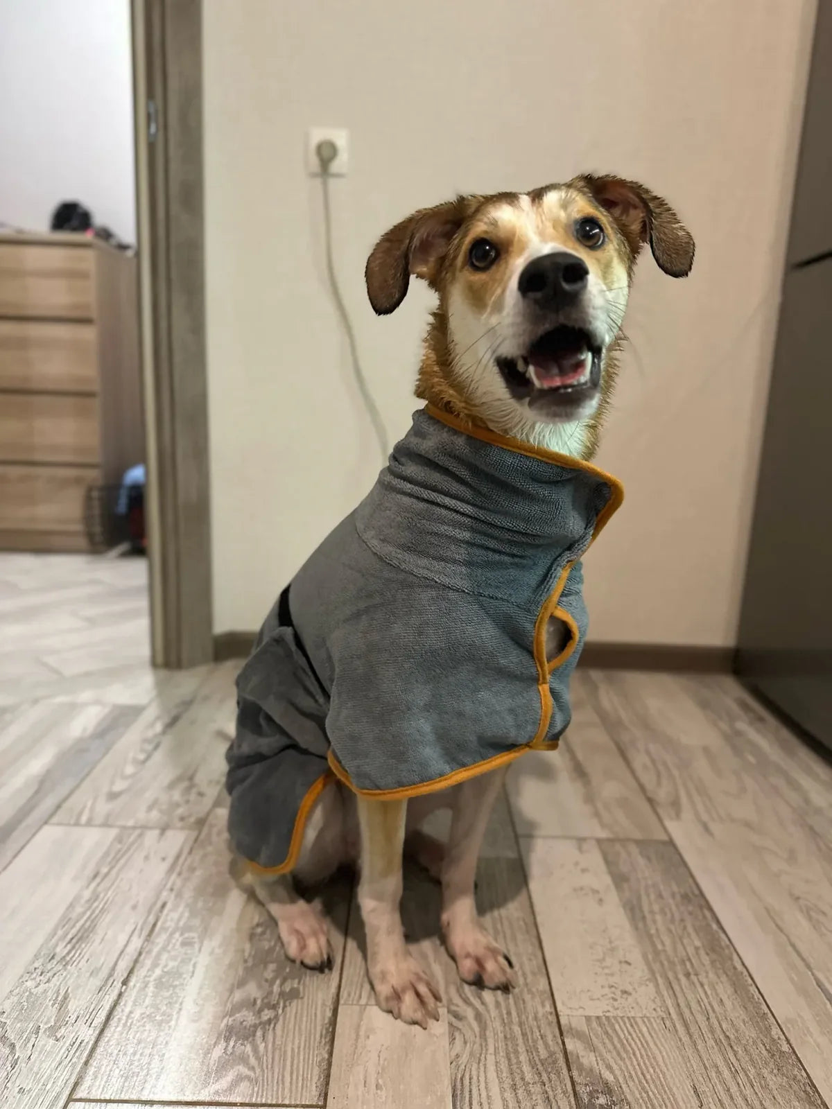 PawDry™ hondenbadjas