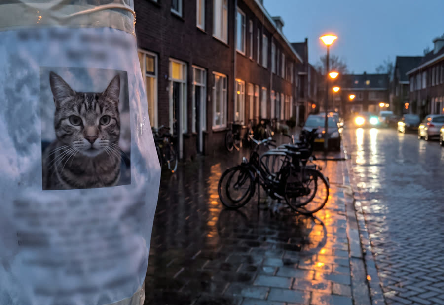 Zelfgemaakte vermistposter in plastic aan een lantaarnpaal in een natte Nederlandse straat.