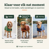 Beeld 8