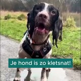 Video 2