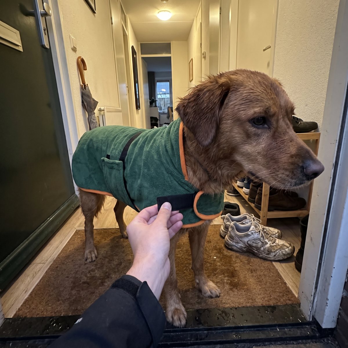 PawDry™ hondenbadjas