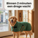 Beeld 9