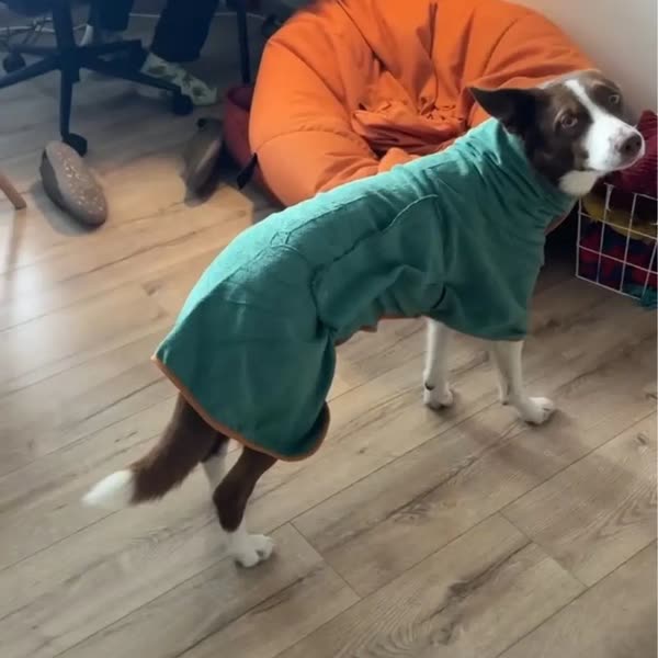 Hond in de groen badjas in maat L, foto van de koper