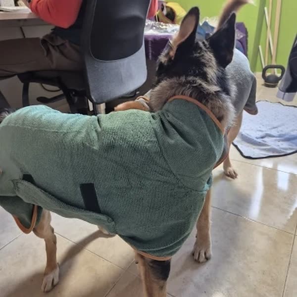 Hond in de grijs badjas in maat L, foto van de koper